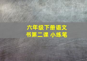 六年级下册语文书第二课 小练笔